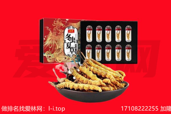 洛阳市西工回收虫草.jpg